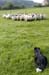 Image000