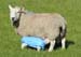 Image014