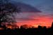 Image018
