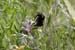 Image013