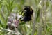 Image014